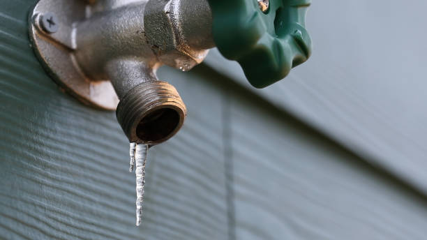 Best Sprinkler Systems  in West Van Lear, KY